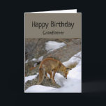 G Grandfather Wonderful Birthday Fox Animal Card Kort<br><div class="desc">Roligt farfar Farfar Birthday Du förtjänar underbart Birthday Fox tittar intensivt på nåt. Underbart kort för någon som kärlekar djur och/eller rävar.</div>