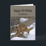 G Grandfather Wonderful Birthday Fox Animal Card Kort<br><div class="desc">Roligt farfar Farfar Birthday Du förtjänar underbart Birthday Fox tittar intensivt på nåt. Underbart kort för någon som kärlekar djur och/eller rävar.</div>