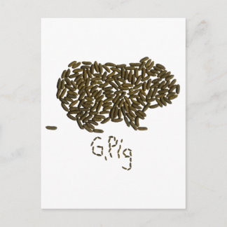 "G. Gris" med Classic Guinea Gris Vykort