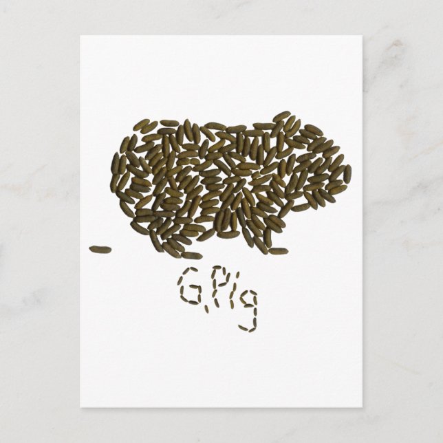 "G. Gris" med Classic Guinea Gris Vykort (Framsida)