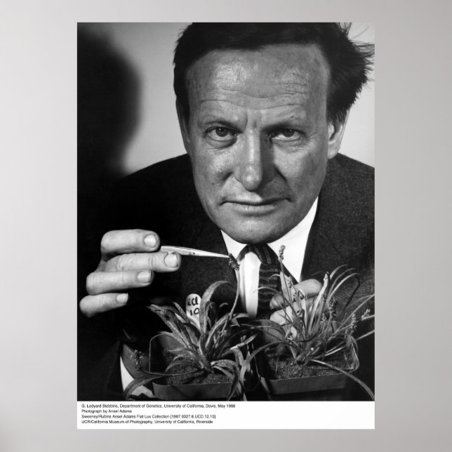 G. Ledyard Stebbins, UC Davis, 1966 Poster (Framsidan)