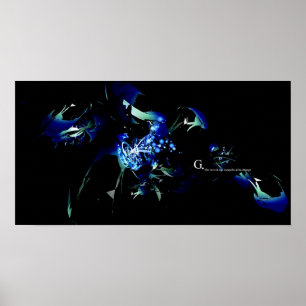 G. POSTER