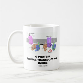 G-Protein signalerar Transductioninsida Kaffemugg