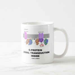 G-Protein signalerar Transductioninsida Kaffemugg