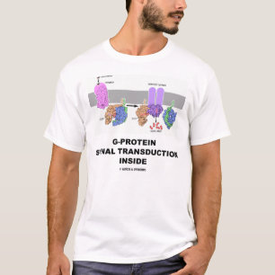 G-Protein signalerar Transductioninsida Tröja