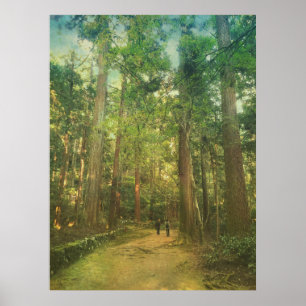 Gå Along den stillsamma Kozan-ji skogen Kyoto Poster