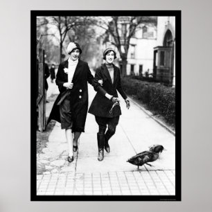 Gå ankor i Washington, DC 1926 Poster