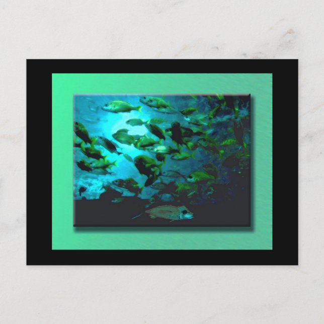 GA Aquarium-vykort Vykort (Framsida)