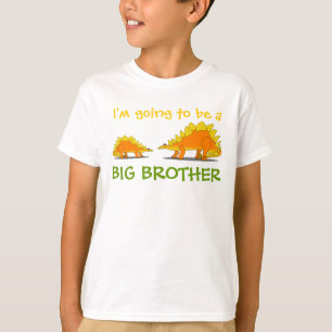 Gå att vara gulliga StegosaurusDinosaurs för Tee Shirt