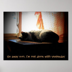 Gå bort sol - sovande katt poster