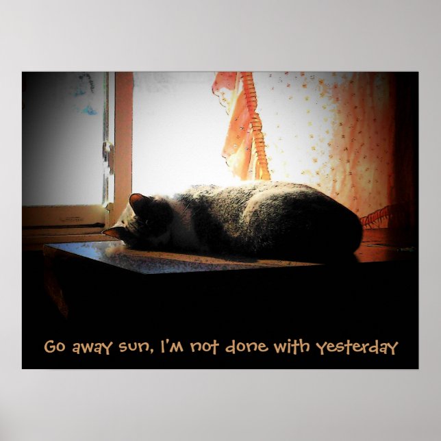 Gå bort sol - sovande katt poster (Framsidan)