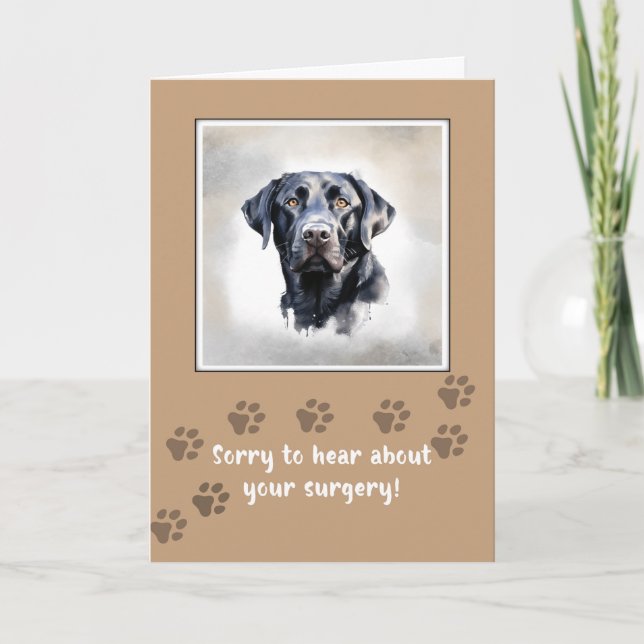 Gå bra till Hund efter kirurgi med Svart lab Kort (Framsida)