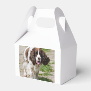 gå den engelska springeren spaniel.png presentaskar