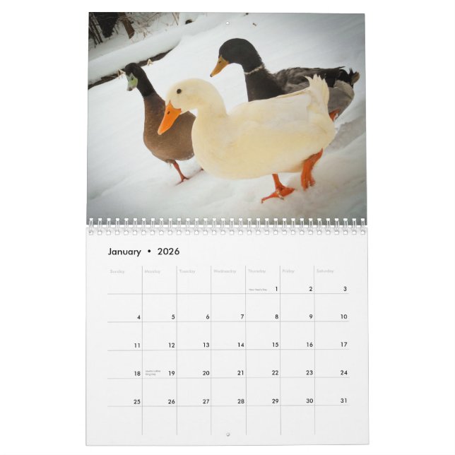 Gå duckar kalender 2015 (Jan 2026)