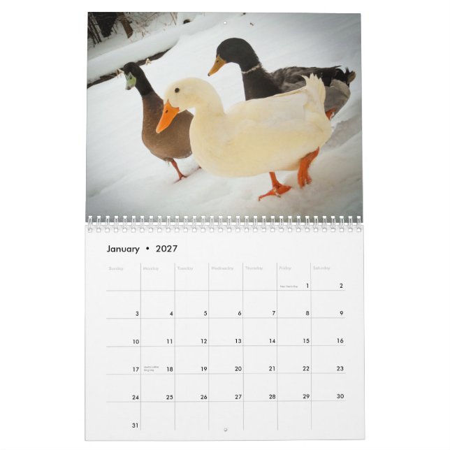 Gå duckar kalender 2015 (Jan 2027)