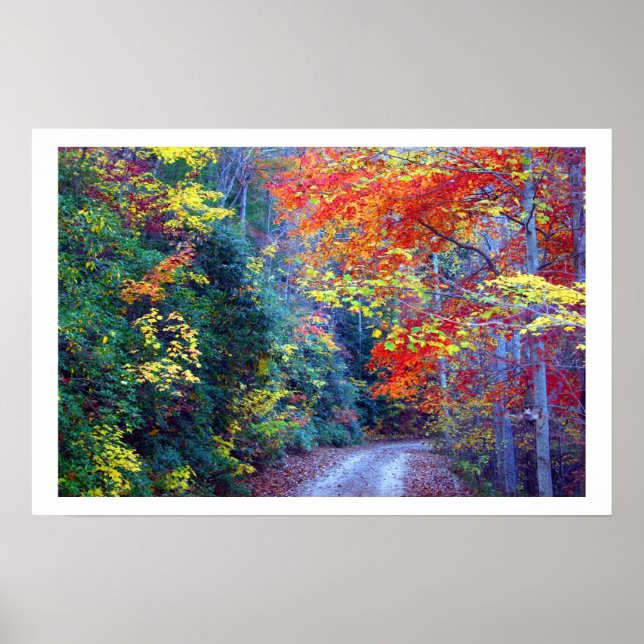 Ga fall poster (Framsidan)