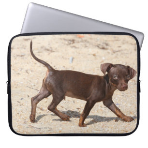 Gå för Chihuahuavalp Laptop Fodral