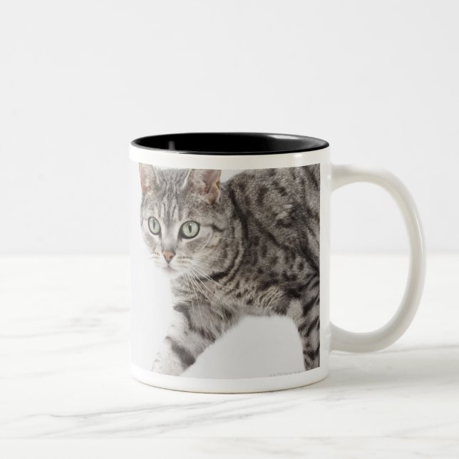 Gå för katt Två-Tonad mugg (Höger)