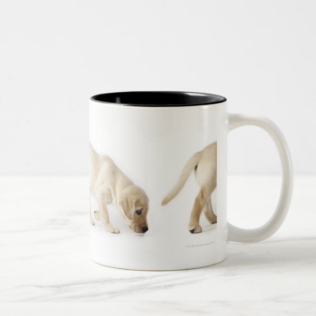 Gå för valp för Labrador Retriever Två-Tonad Mugg (Höger)