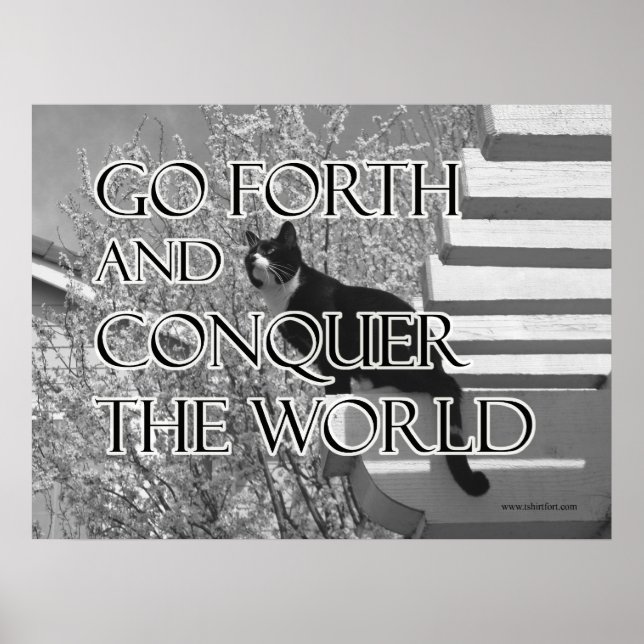 Gå framåt och erövra motiv katt poster (Framsidan)