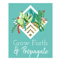 Gå framåt och propagera terrariumsucculents & Cact