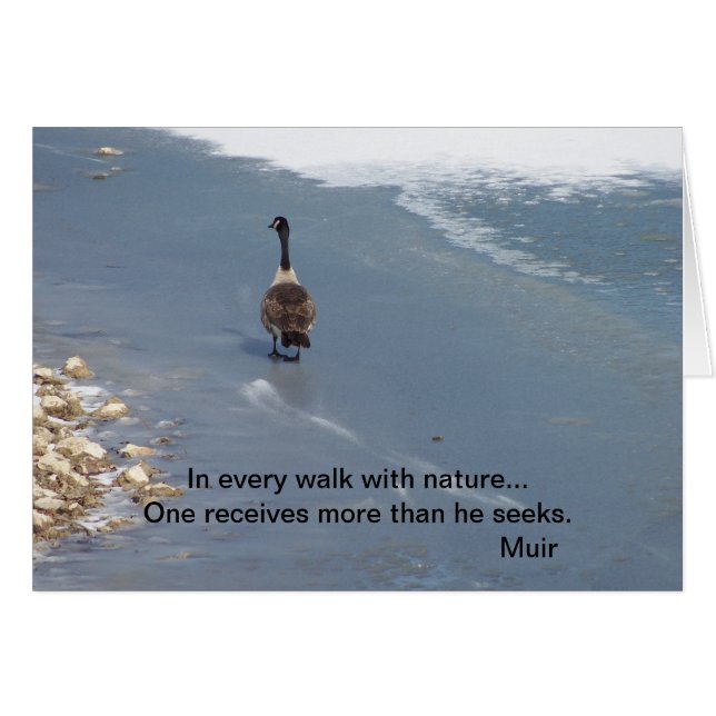 Gå gäss: Muir Hälsningskort (Framsidan Horizontal)