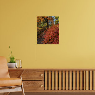 Gå genom en botanisk höstfärgspark poster