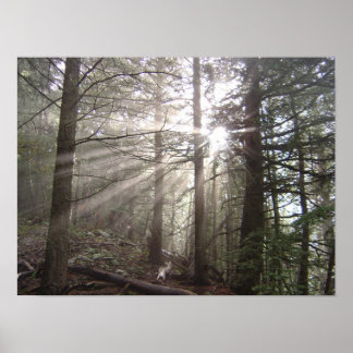 Gå genom molnen poster