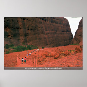 Gå genom Olgas Gorge, Australiens öknen Poster