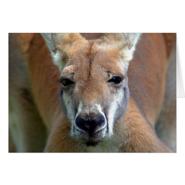 gå hälsningskort (Framsidan Horizontal)