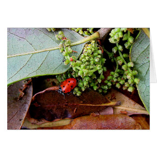 Gå hem för middag hälsningskort