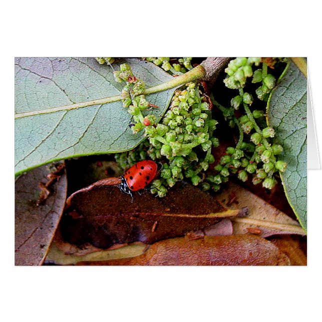 Gå hem för middag hälsningskort (Framsidan Horizontal)