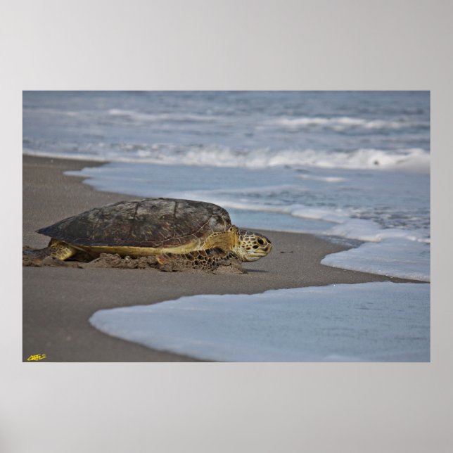 Gå hem II Poster (Framsidan)