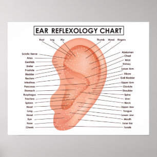 Gå i ax reflexologyen kartlägger 20" x 16", poster