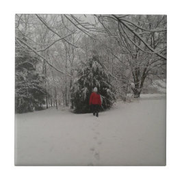 Gå in i ett vinter Wonderland Kakelplatta