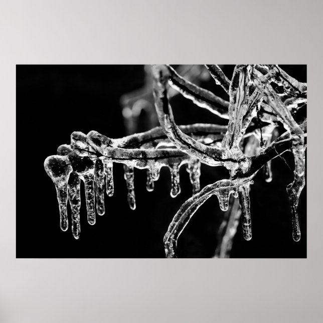 gå in i isig vinter poster (Framsidan)