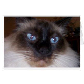 Gå in i mitt Ögon Hälsningskort