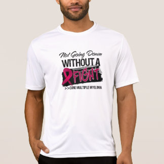 Gå inte besegra utan ett slagsmål - åtskillig tee shirt