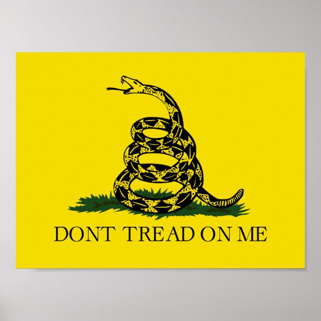 Gå inte på mig Gadsden flagga Poster (Framsidan)