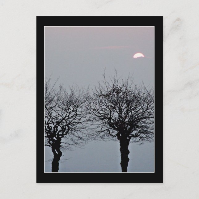 Gå inte till vykort (Framsida)