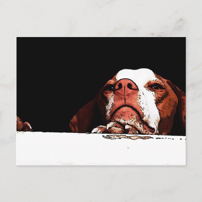 Gå inte vykort (Framsida)