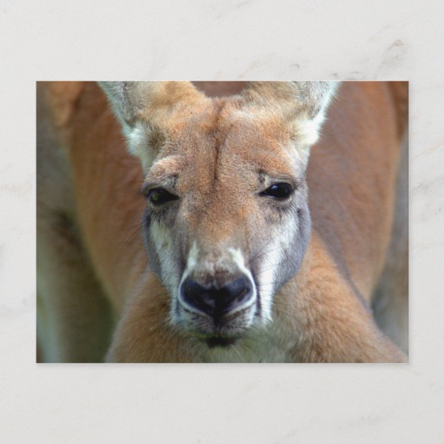 gå iväg vykort (Framsida)