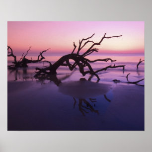 GA Jekyll Island, Trädkyrkogård på stranden vid Poster