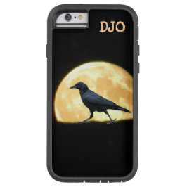 Gå kråkan och toppenfullmånen