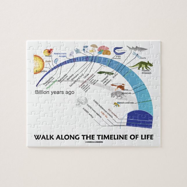 Gå Längs Livets Tidslinje Biologi Evolution Pussel (Horisontell)