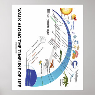 Gå längs tidslinjen för biologisk utveckling av li poster