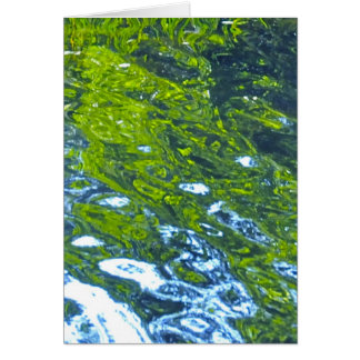 Gå med flödet! hälsningskort