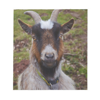 Gå nära. anteckningsblock