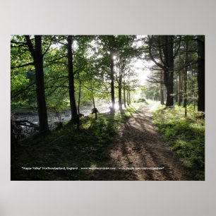 Gå nära Flod-Lycklig dalen, Northumberland Poster