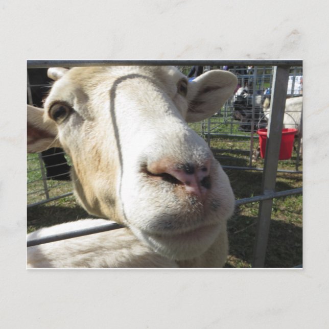 Gå nära vykort (Framsida)